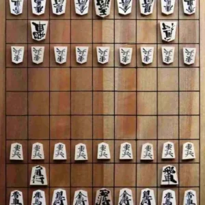 Shogi board - a chess varient