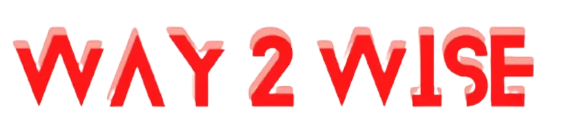 way2wise logo image