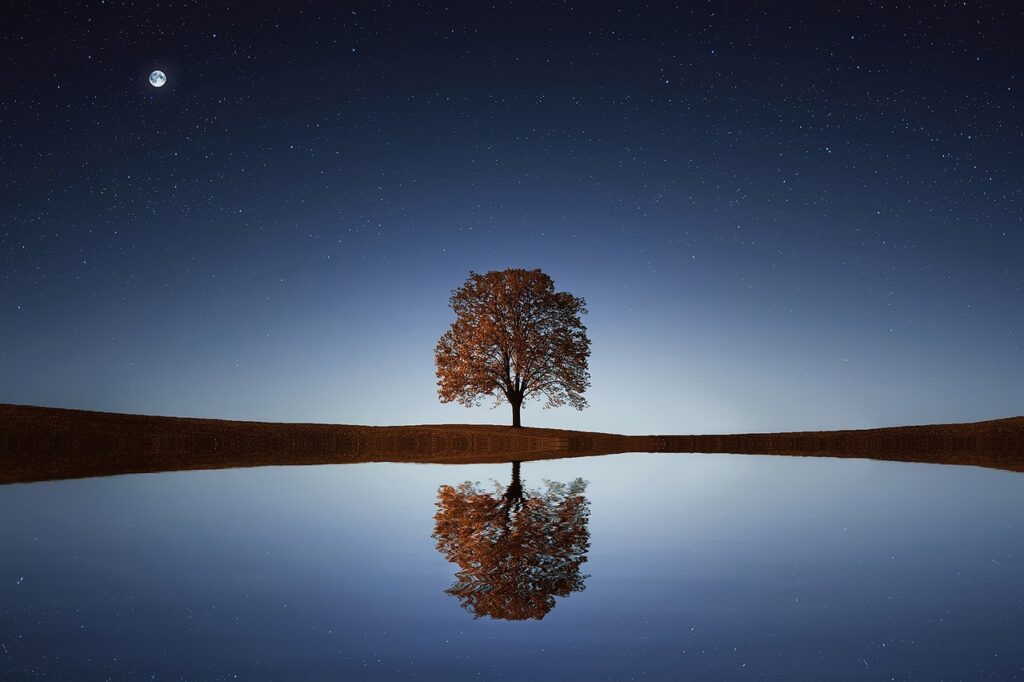 A tree in middle of lake