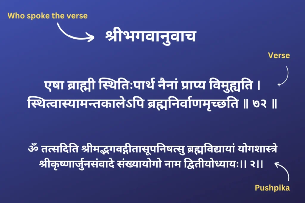 Anatomy of a verse in bhagavad gita